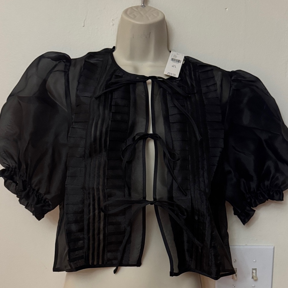 Elegant Black Sheer Puff Sleeve Top